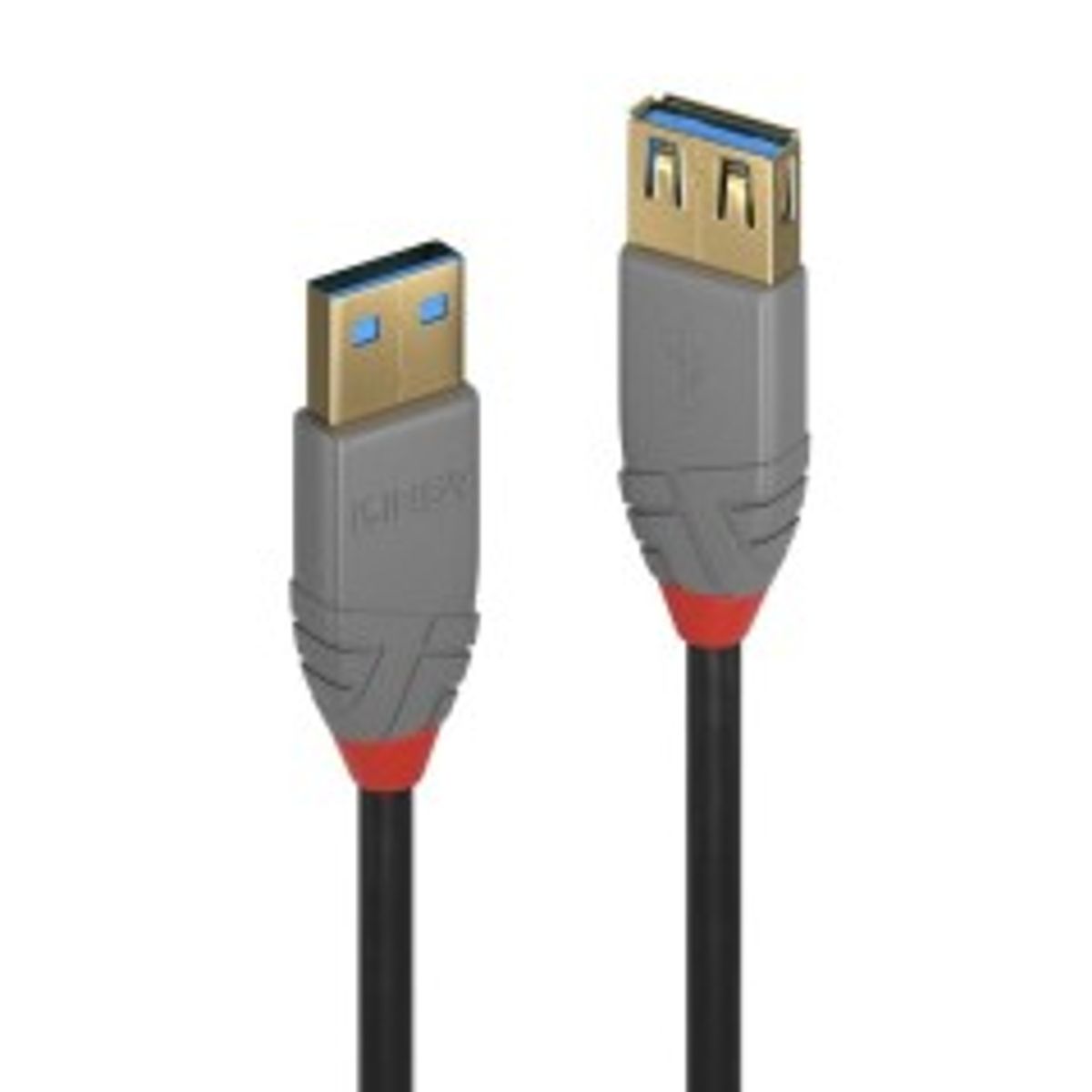 Lindy 1M Usb 3.2 Type A Extension