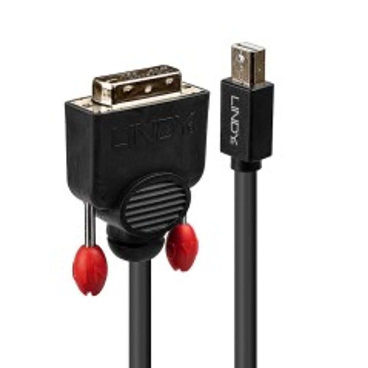 Lindy 3m Mini DisplayPort to DVI