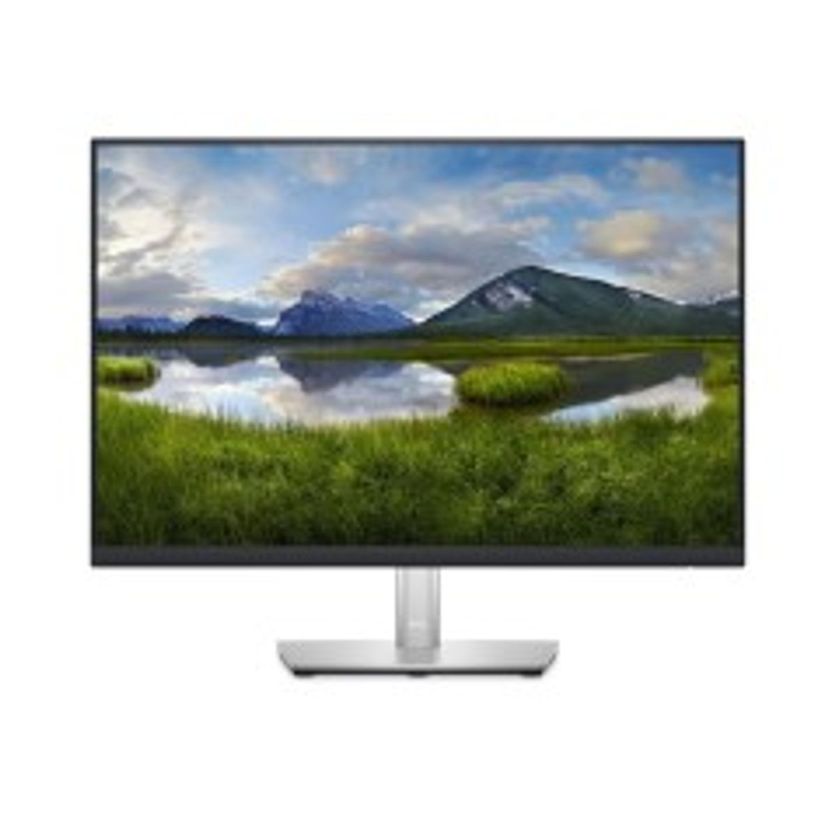 Dell P Series (24") Monitor - P2423