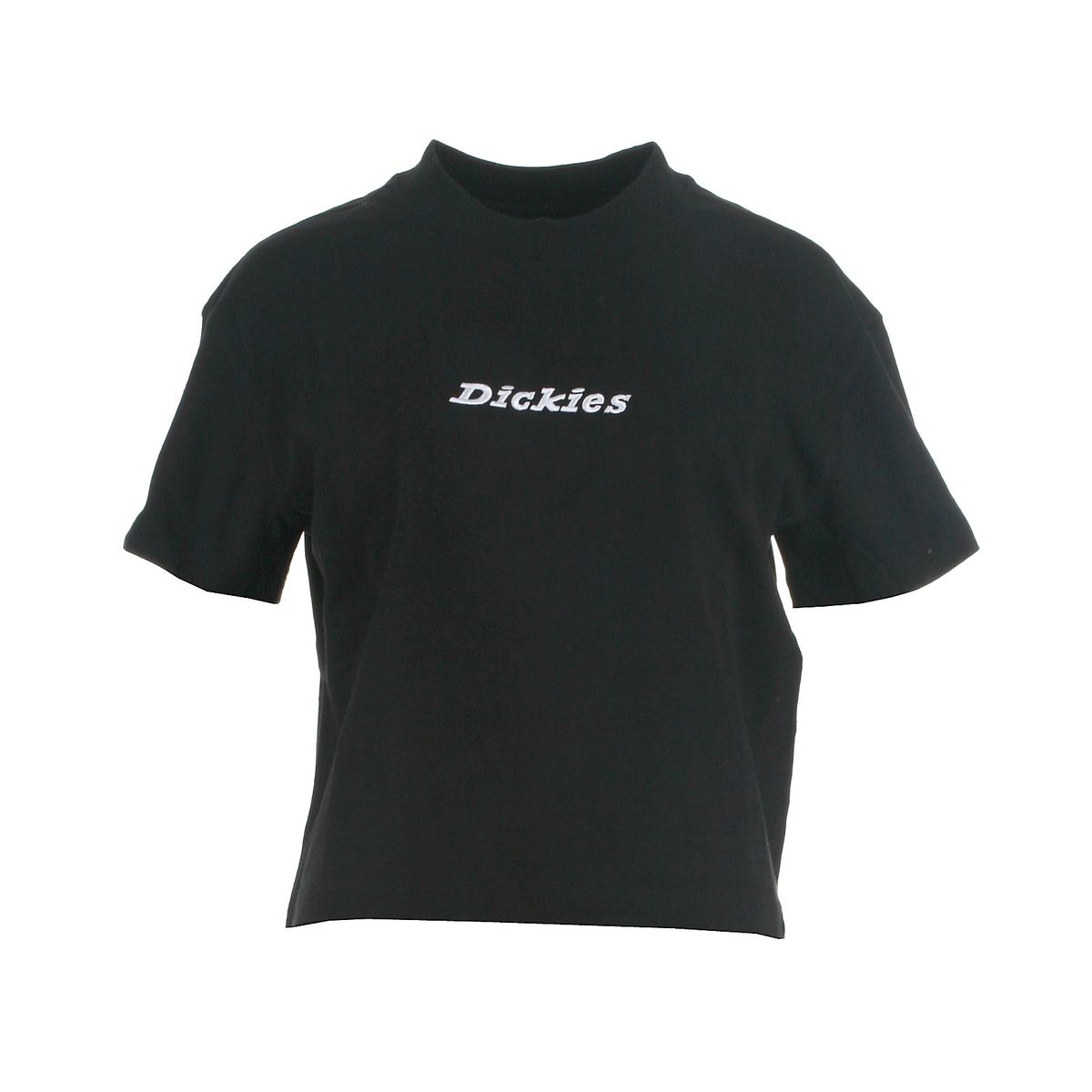 Dickies t-shirt s/s, Loretto, blk - 176 - S+ - 36