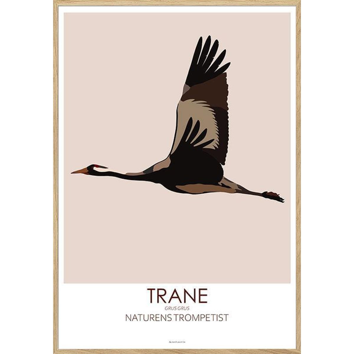 Grafisk plakat - Trane