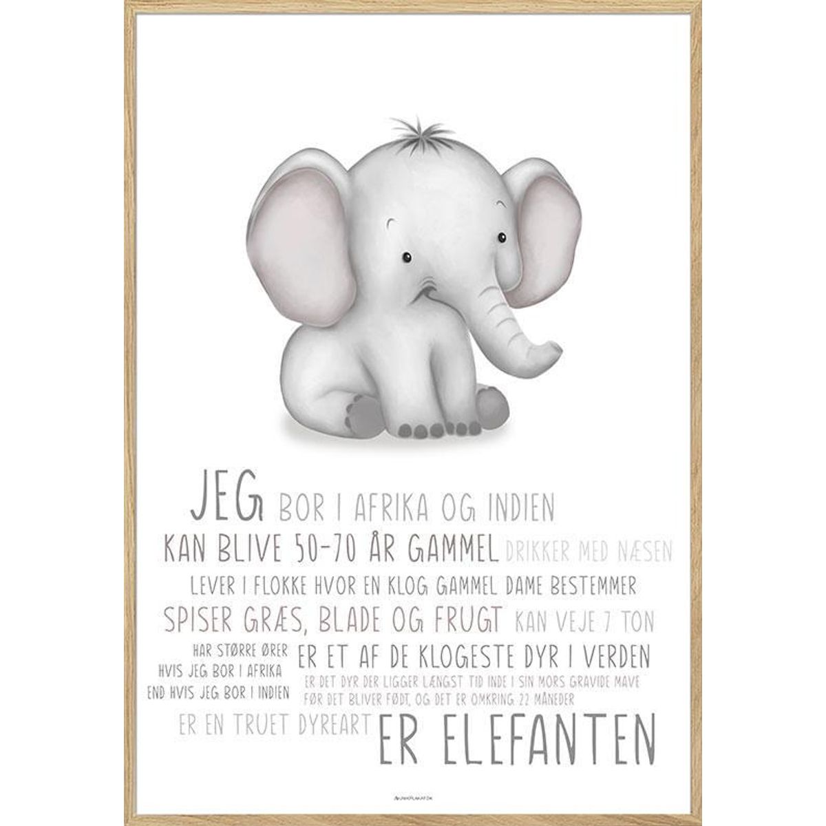 Børneplakat med elefant - lær om elefanten