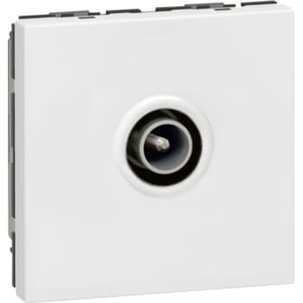 Legrand Tv stik slut han 9,52mm hvid