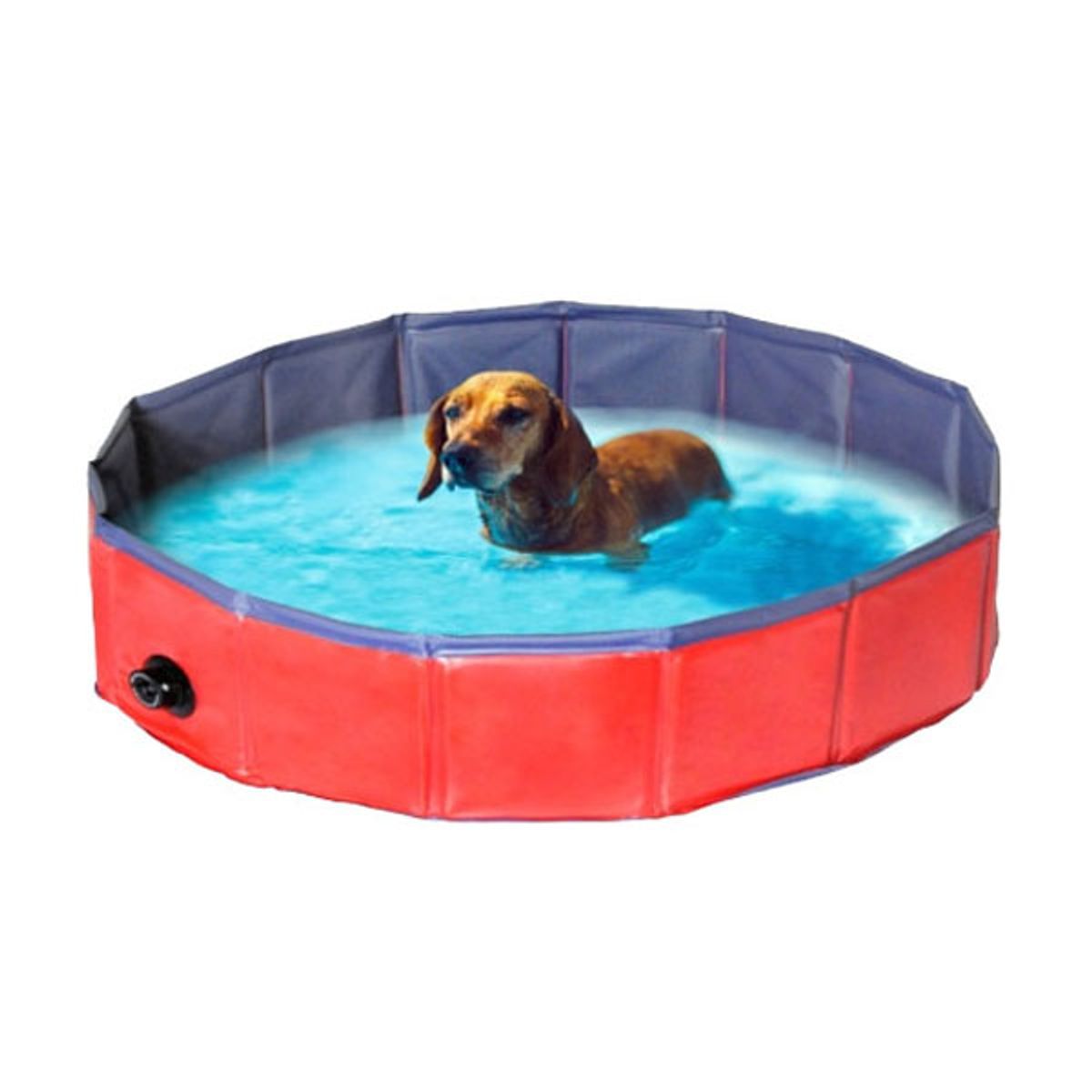 Hunde swimming Pool-S