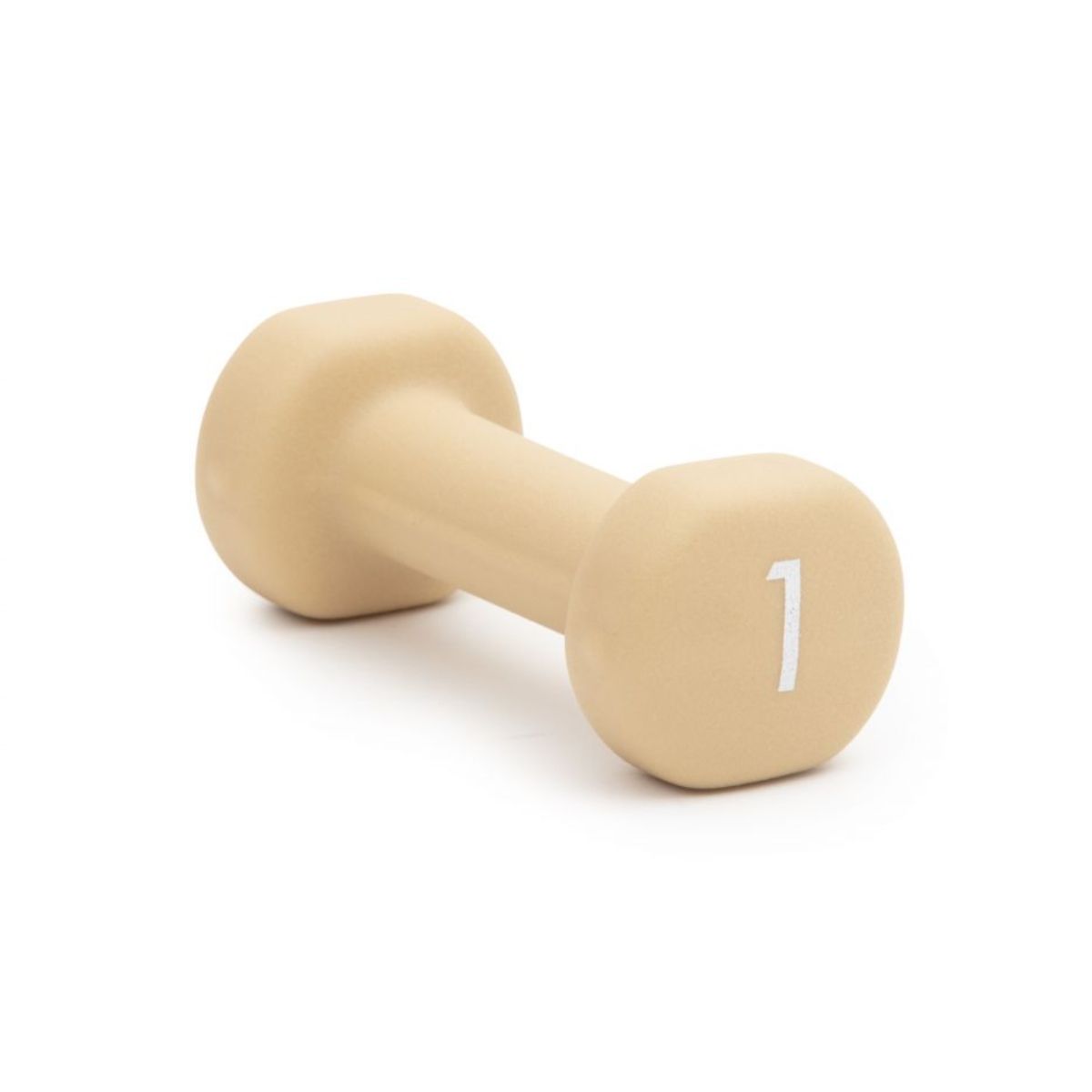 Abilica DumbBell 1 kg