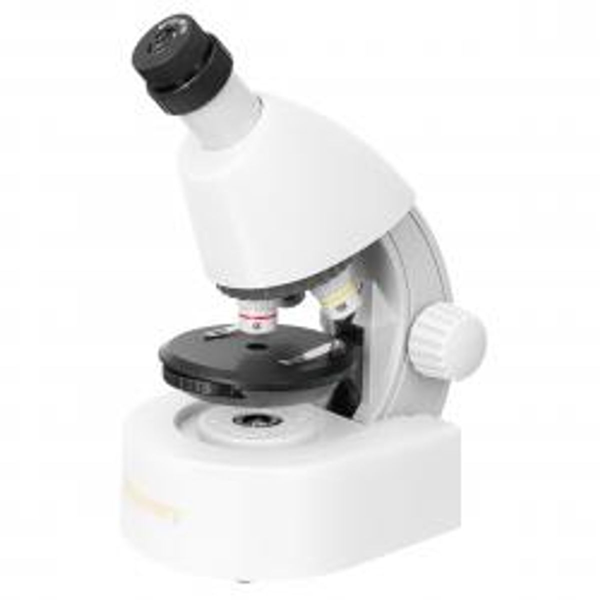 Discovery Micro Polar Microscope With Book - Mikroskop