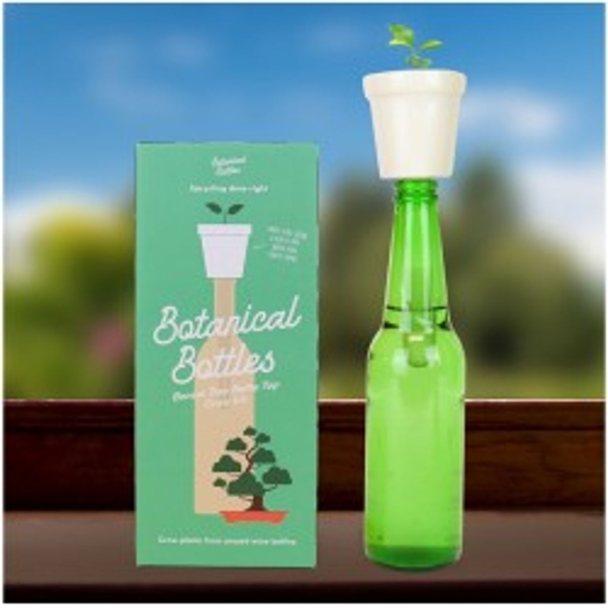 Gift Republic Botanical Bottles Bonsai - Plante