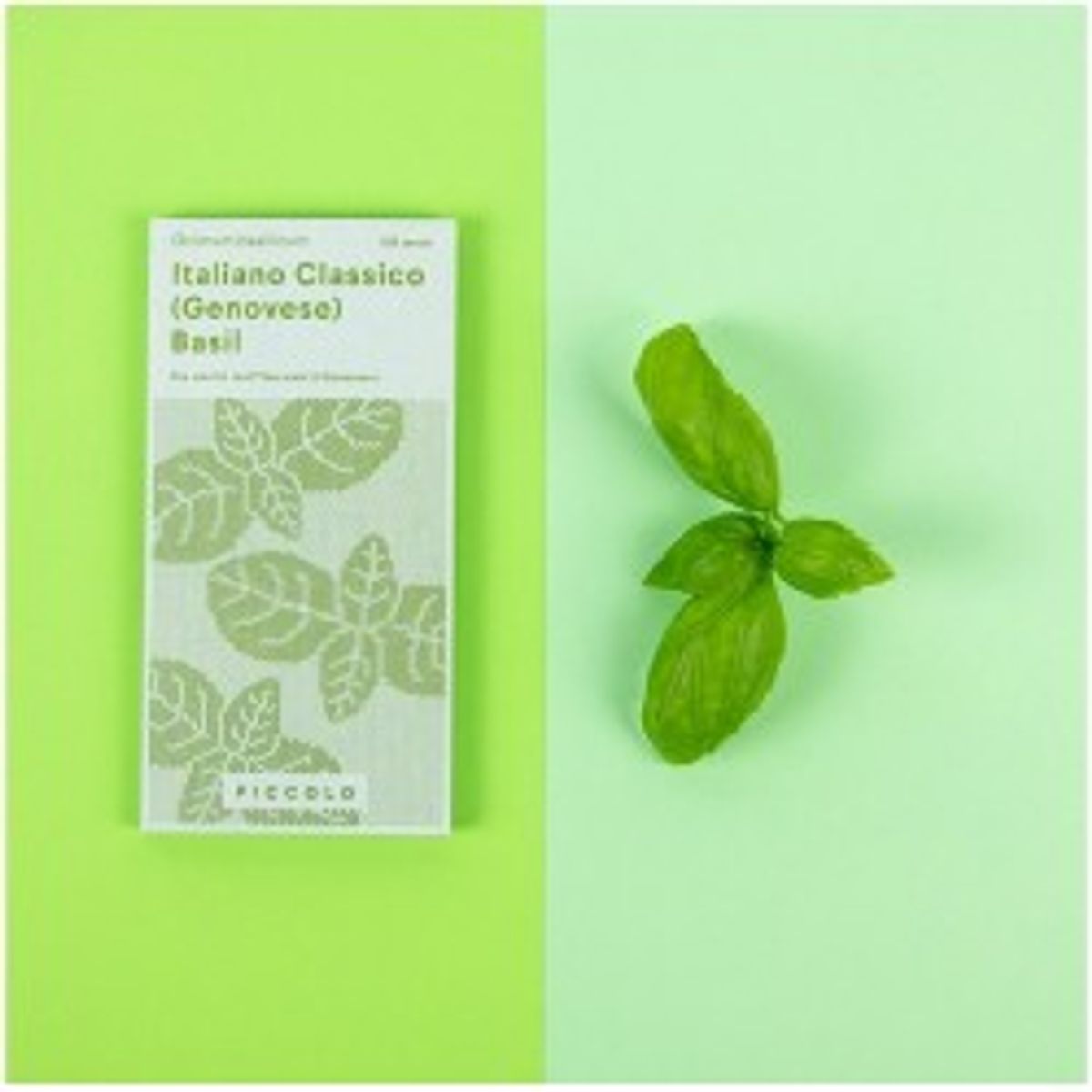 Piccolo Seeds Italiano Classico Genovese Basil Basilikum - Frø