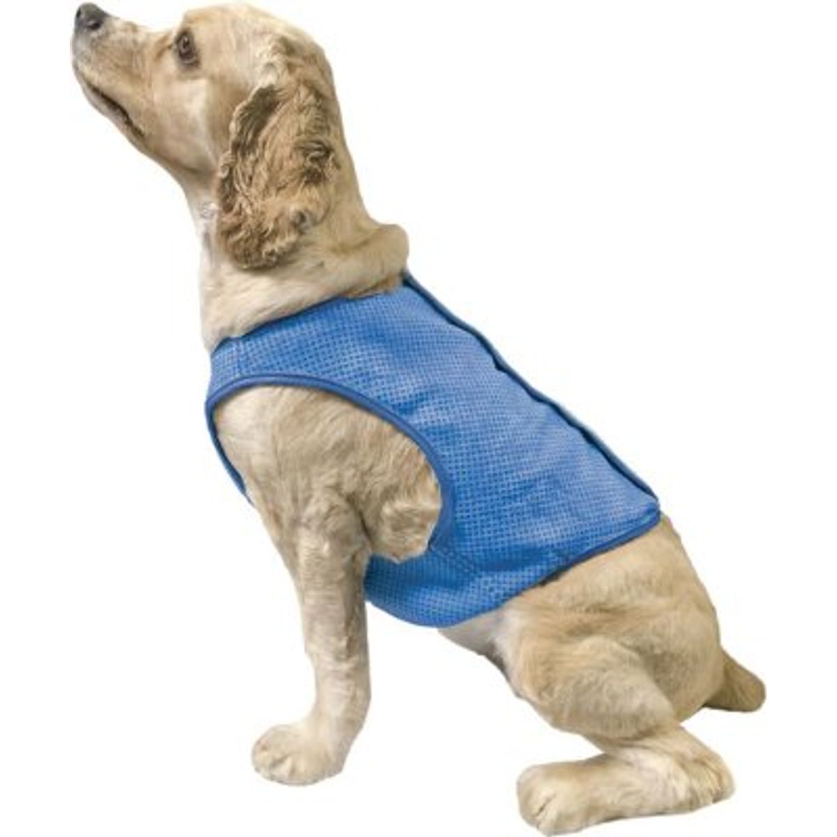 Go Fresh Ice vest til hunde