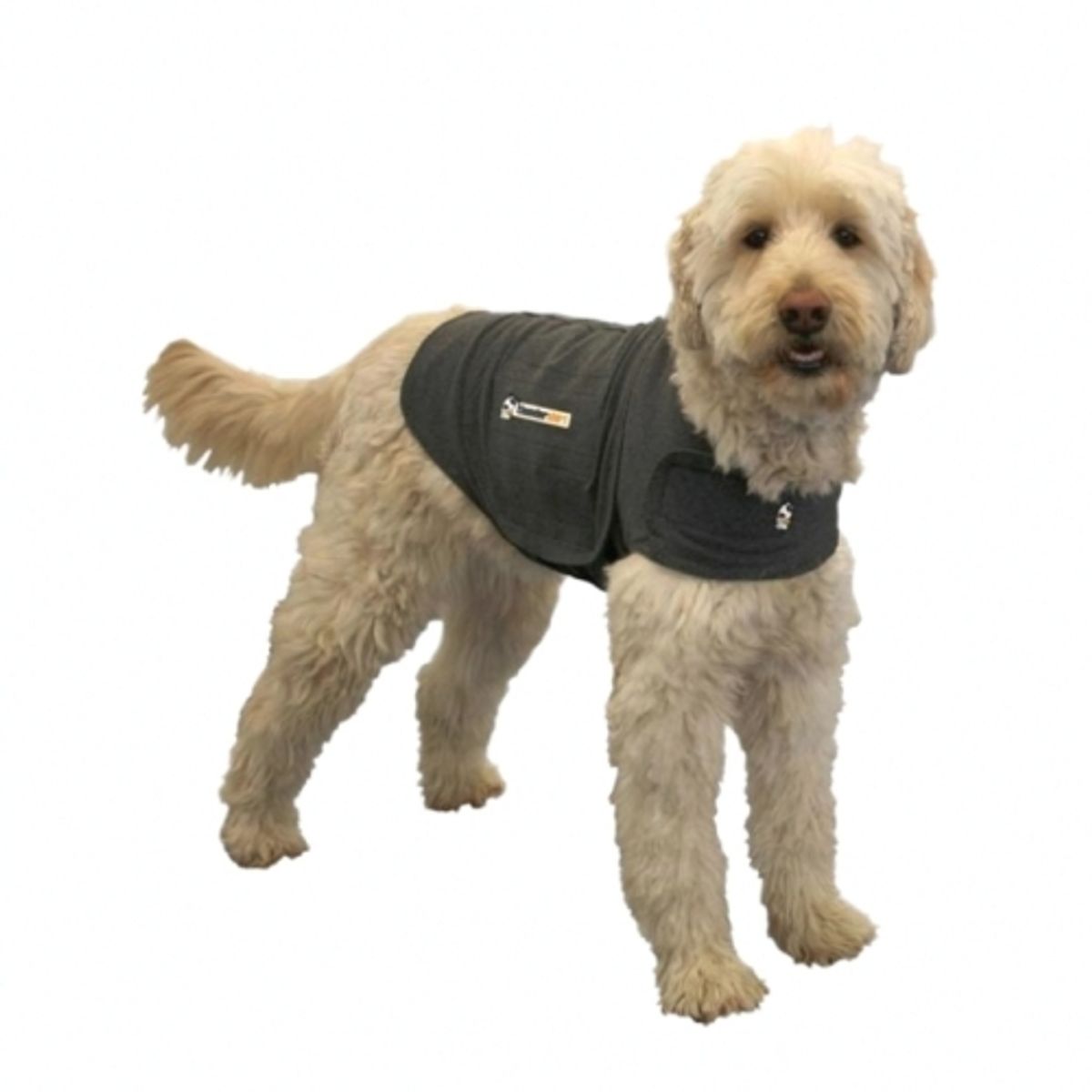 Thundershirt. T-shirten der virker beroligende på hunden.