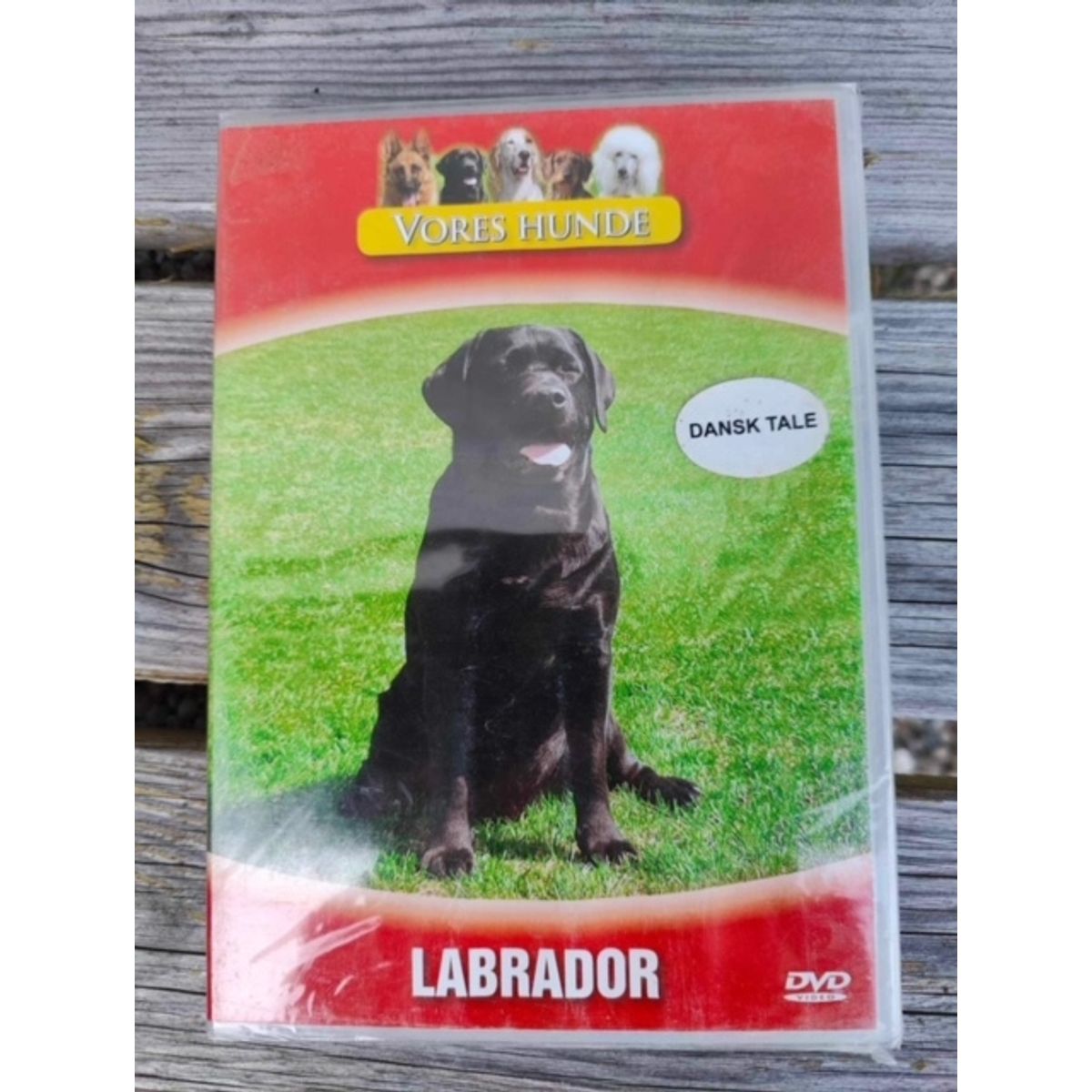 Vores hunde - Labrador