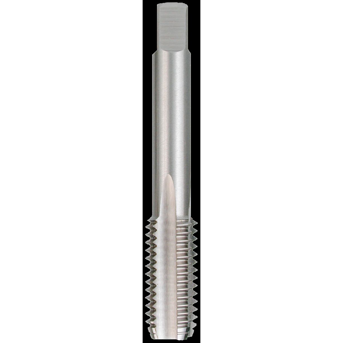 Bundtap DIN 352 HSS M14Ã2,0mm DK