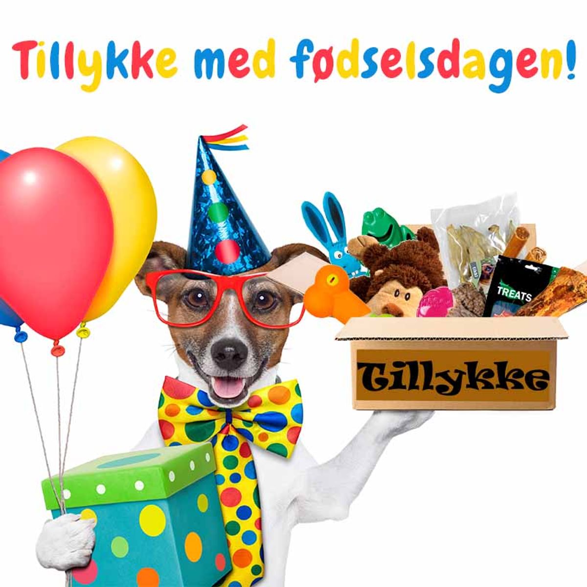 Fødselsdagsgave til hunde-Xtra lille hund fra 0-3 kg.