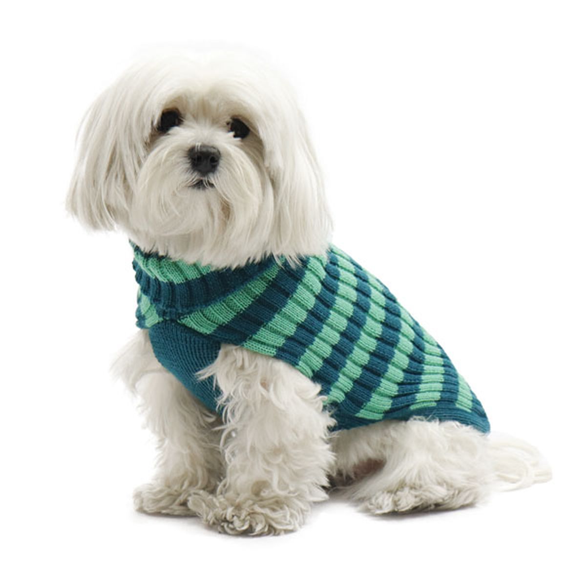 Stribet hundesweater i merino uld-33 cm