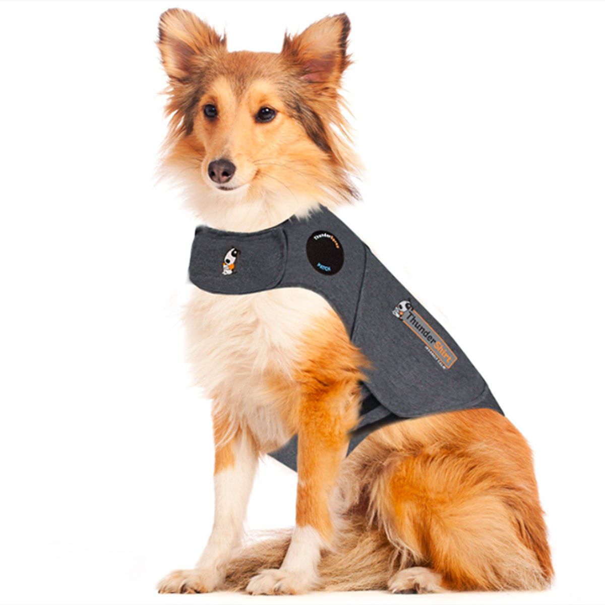 Thundershirt den bedste løsning mod angst hos hunde-L