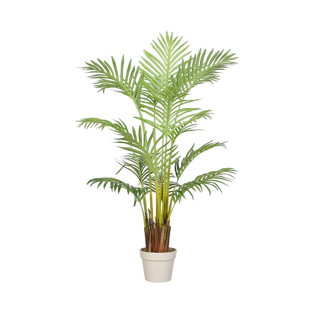 Areca palme 140 cm med 15 palmeblade