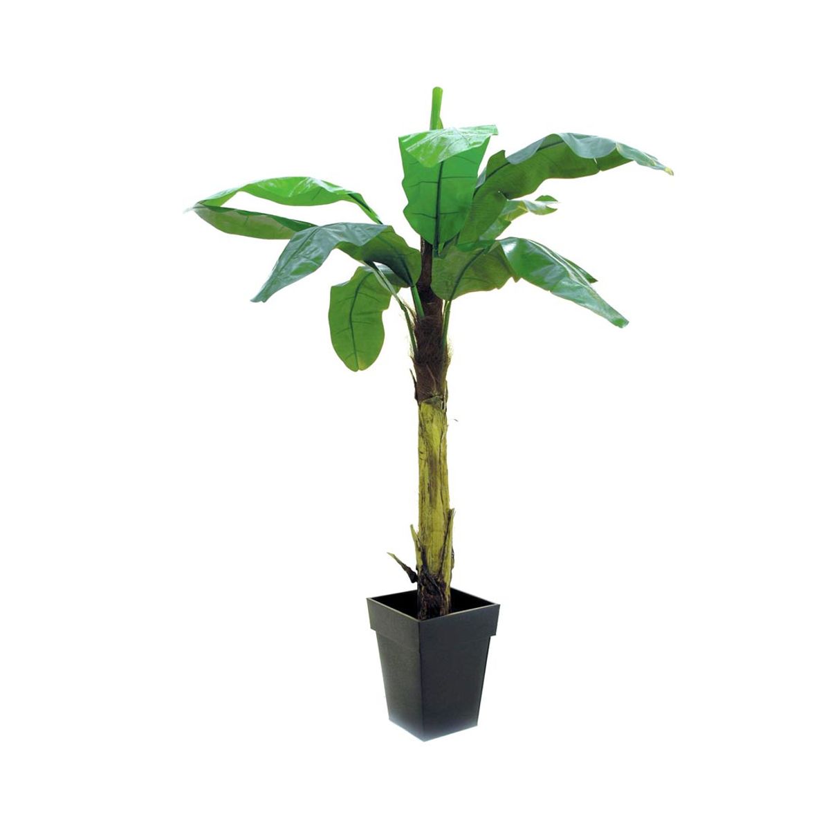 Bananpalme 220 cm med 9 blade