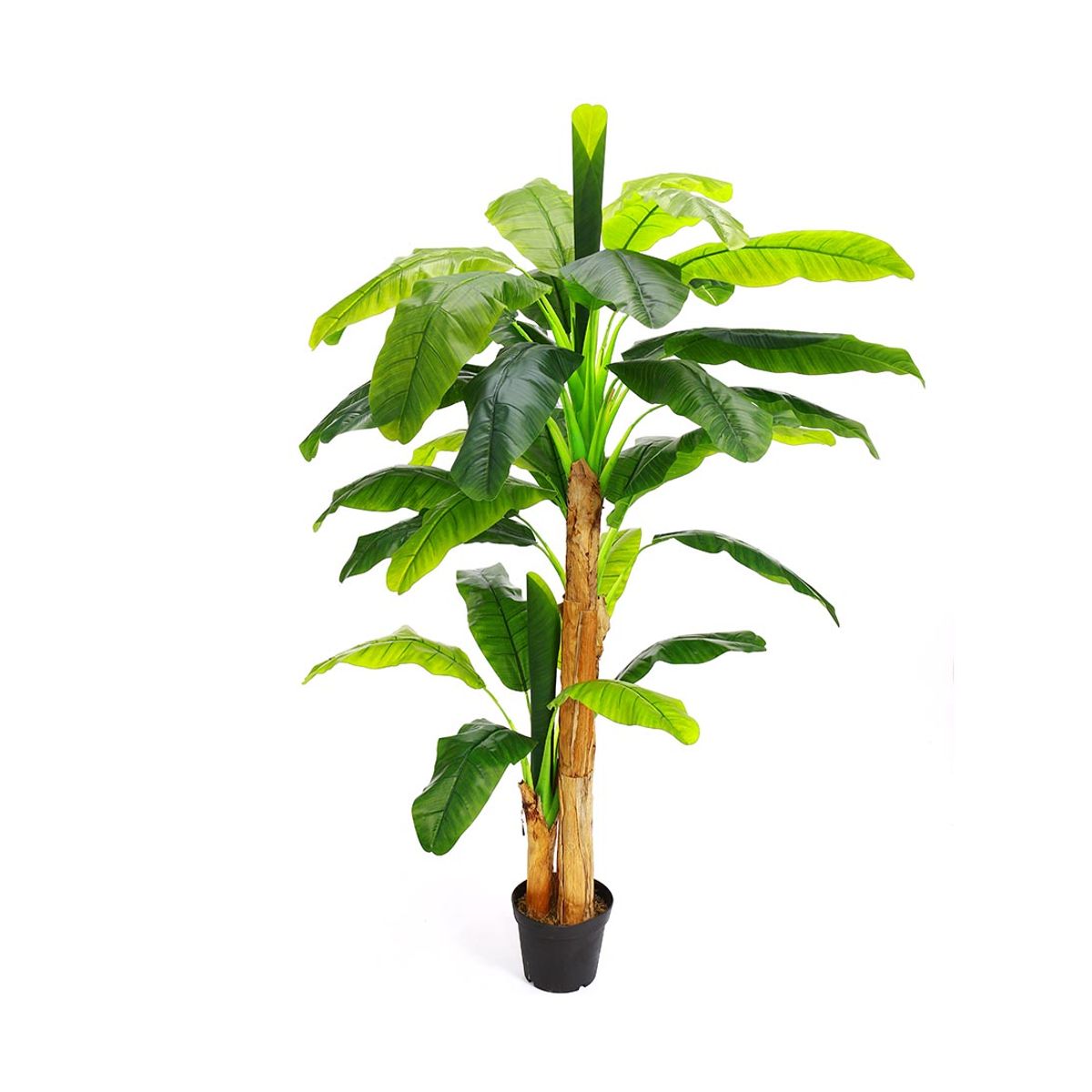 Bananpalme 220 cm med 33 blade