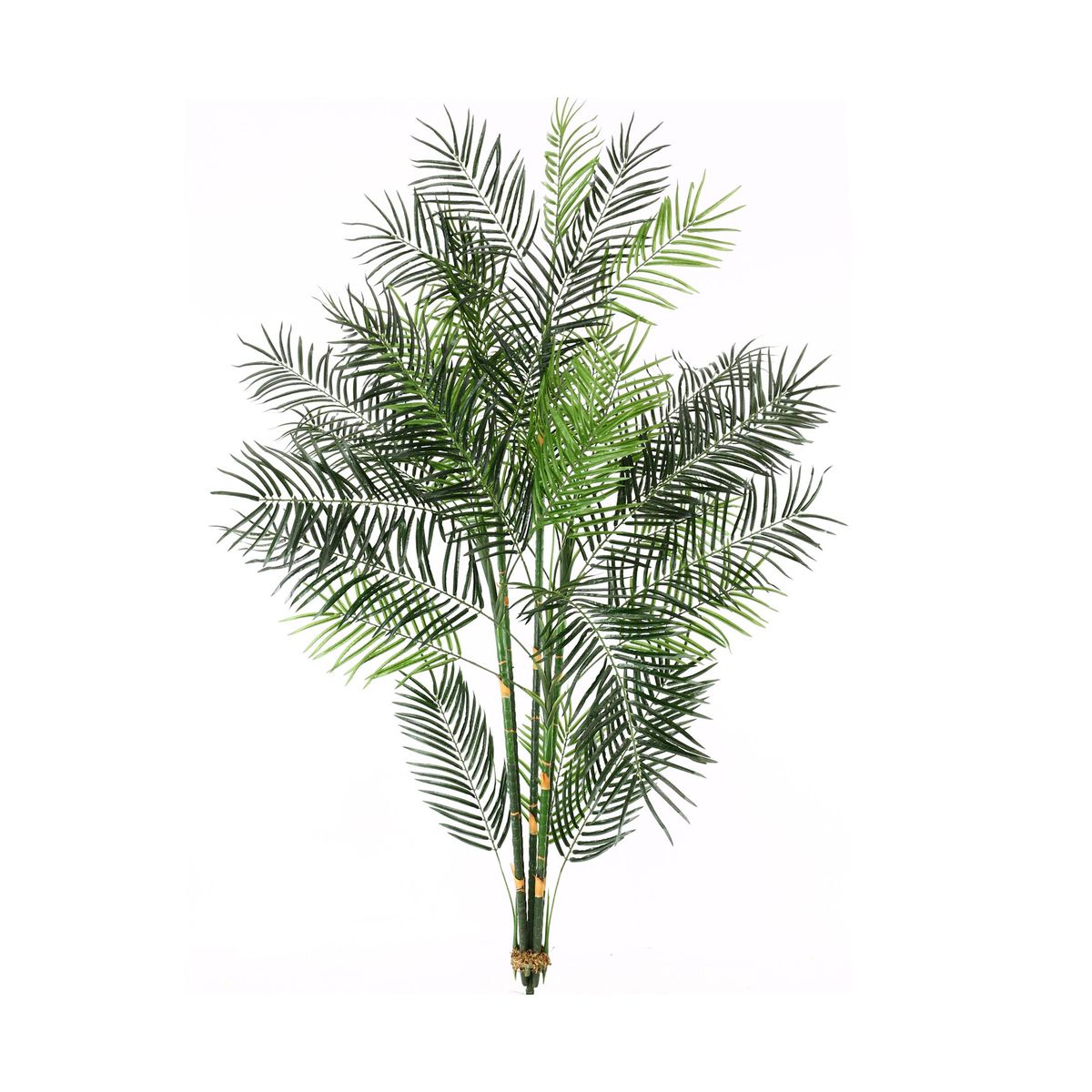 Areca palme 135 cm med 15 palmeblade