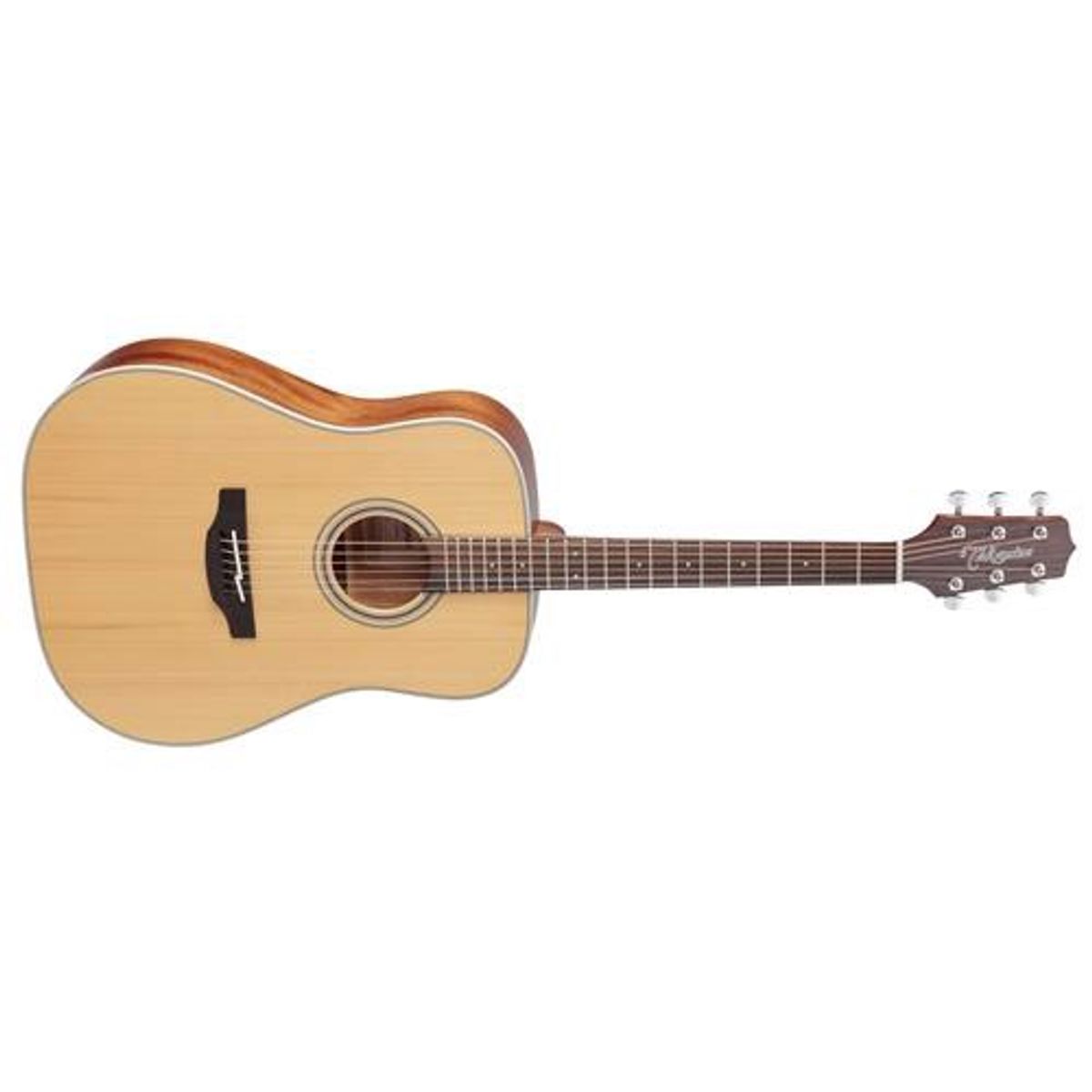 Takamine GD20-NS