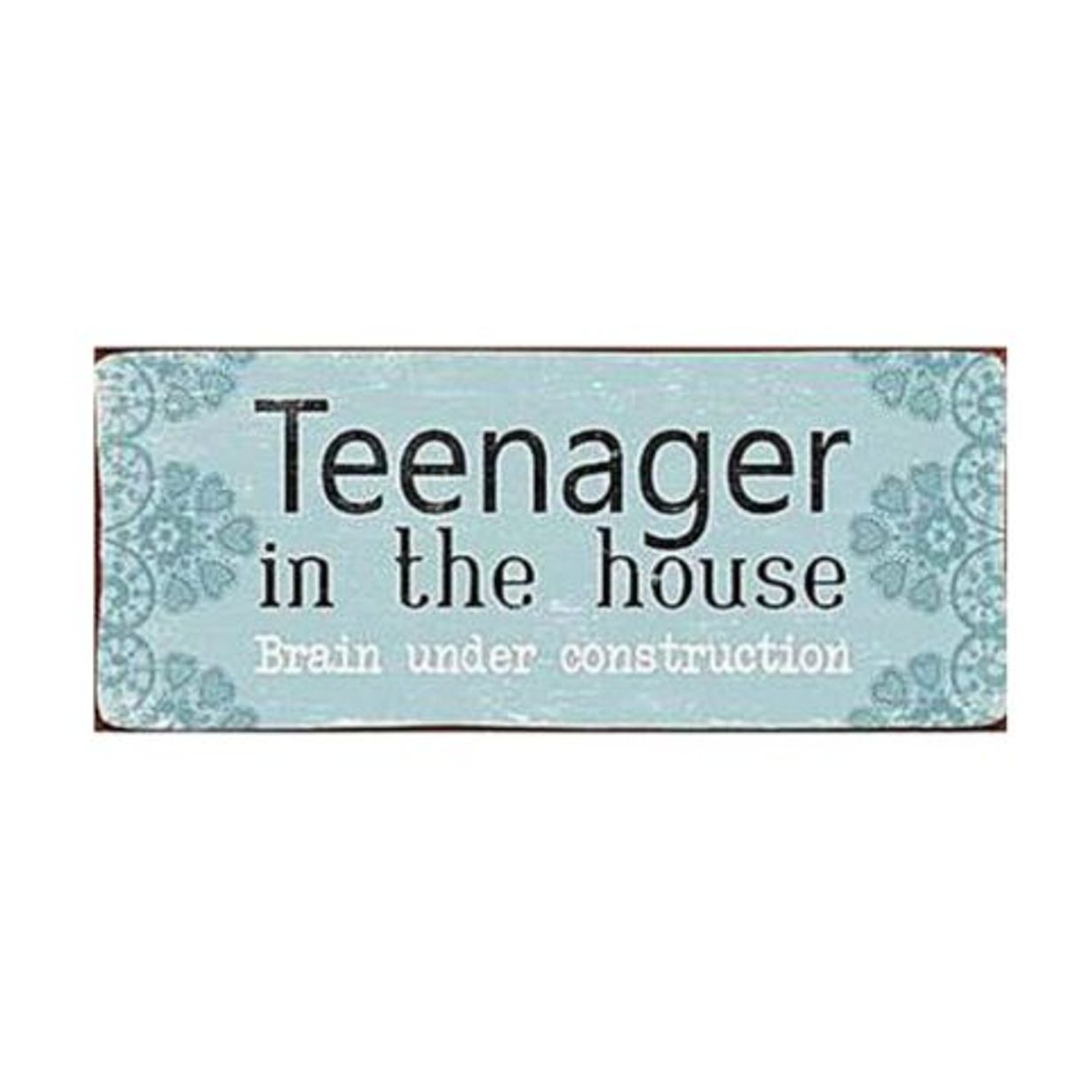 Metalskilt - Teenager in the house