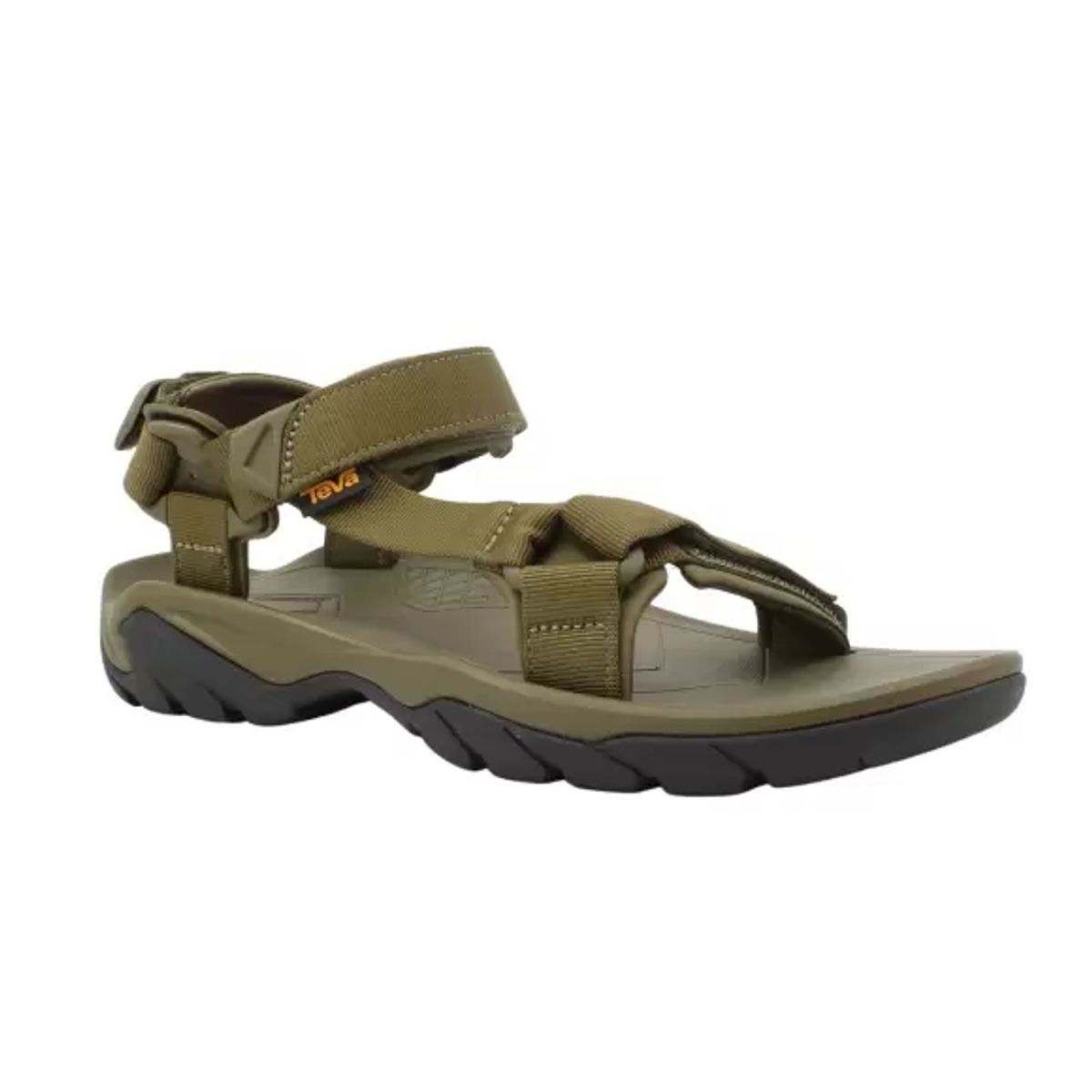 TEVA T1102456 FDOL