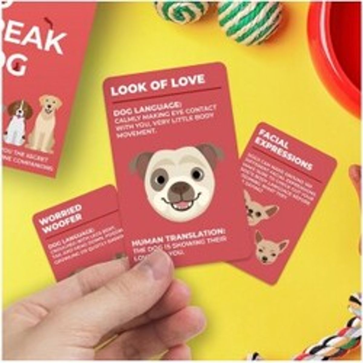 Gift Republic Cards Speak Dog - Spil