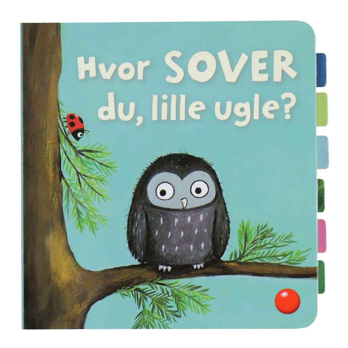 Forlaget Bolden Bog m. Klapper - Hvor Sover Du, Lille Ugle?