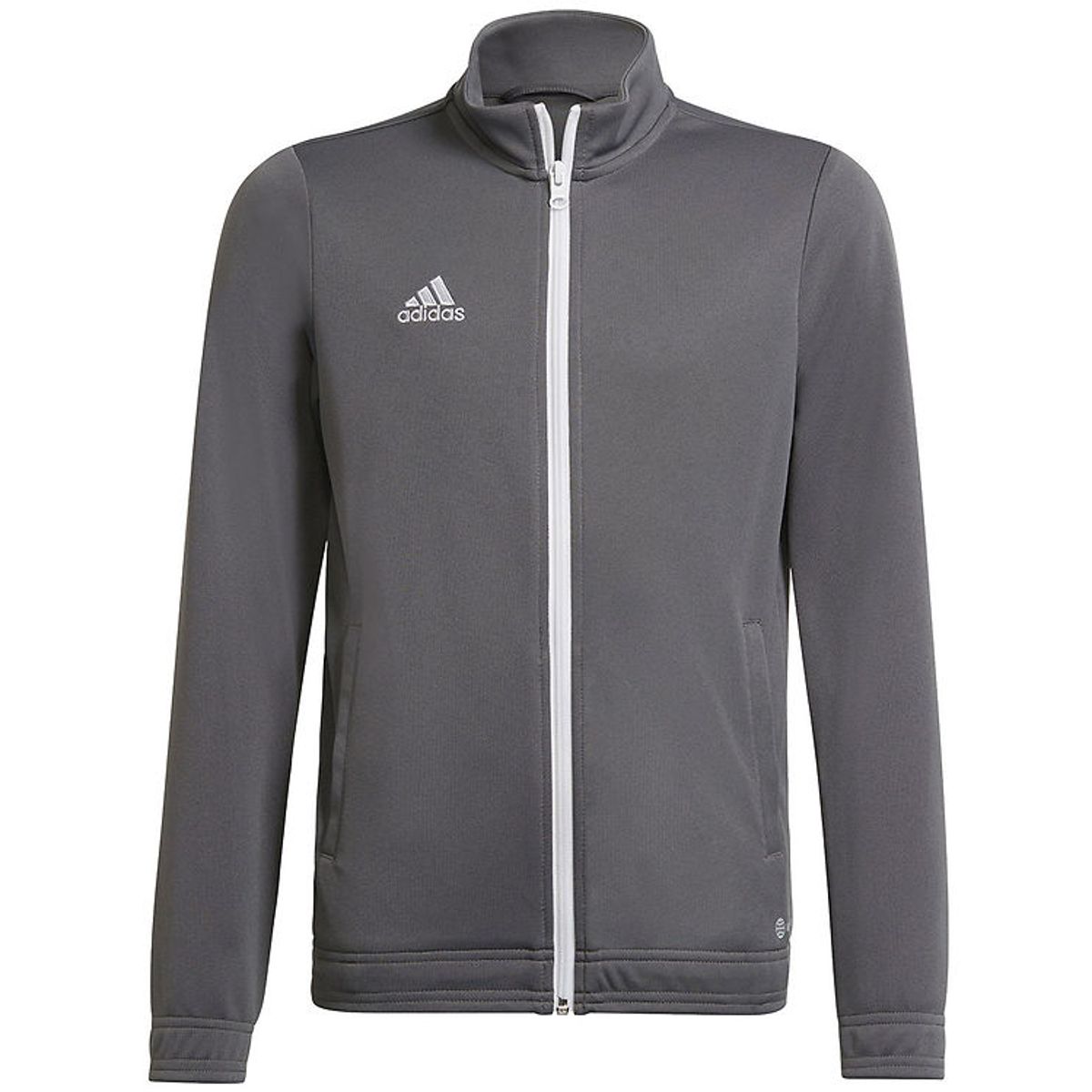 adidas Performance Cardigan - ENT22 TK JKTY - TEGRFO