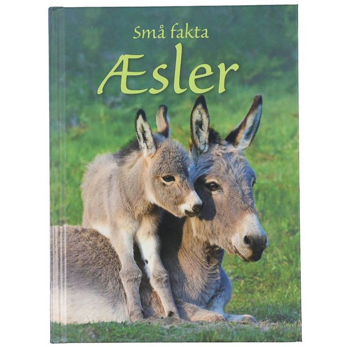 Gads Forlag Bog - Små fakta - Æsler - Dansk