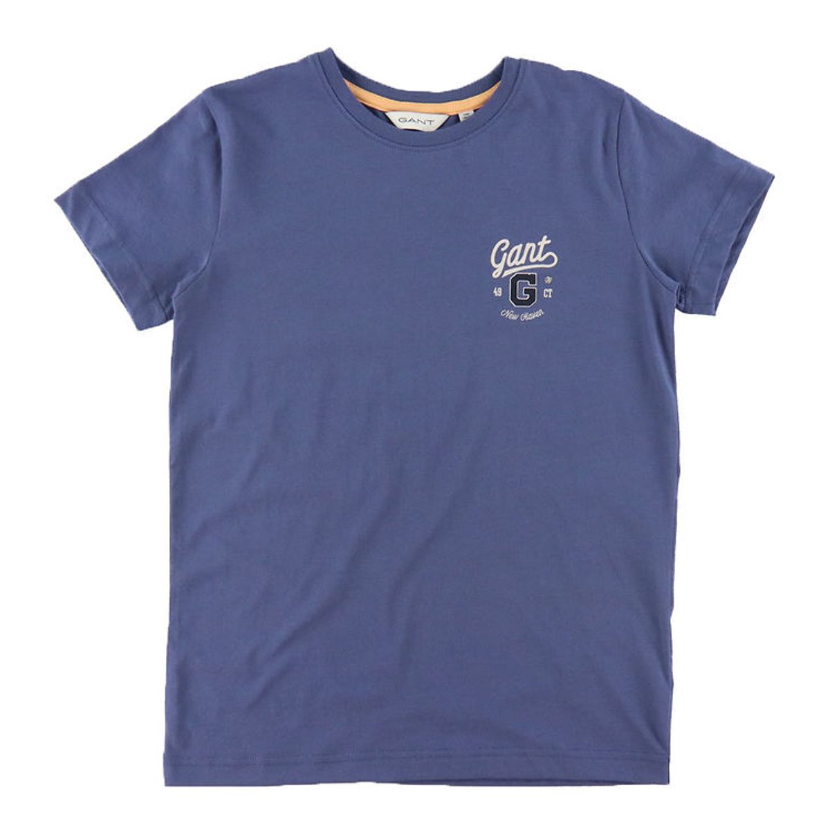 GANT T-shirt - Graphic - Washed Blue