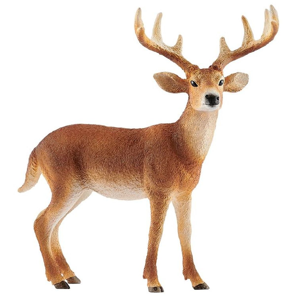 Schleich Dyr - Virginiahjort Buk - H: 11 cm 14818