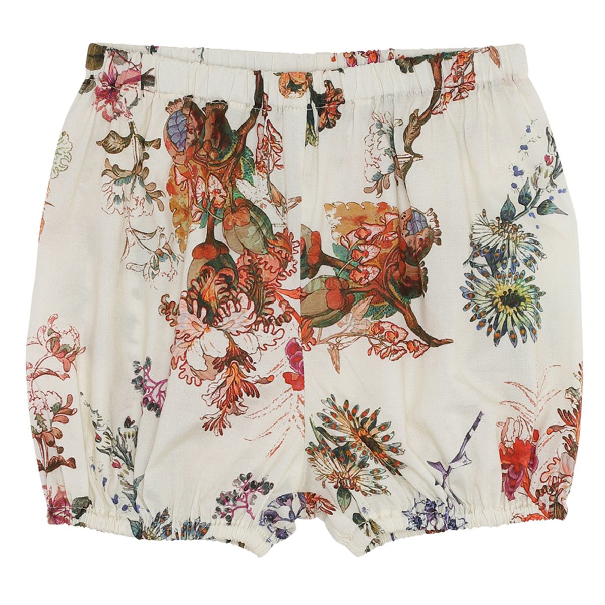 Organic shorts (18 mdr/86 cm)