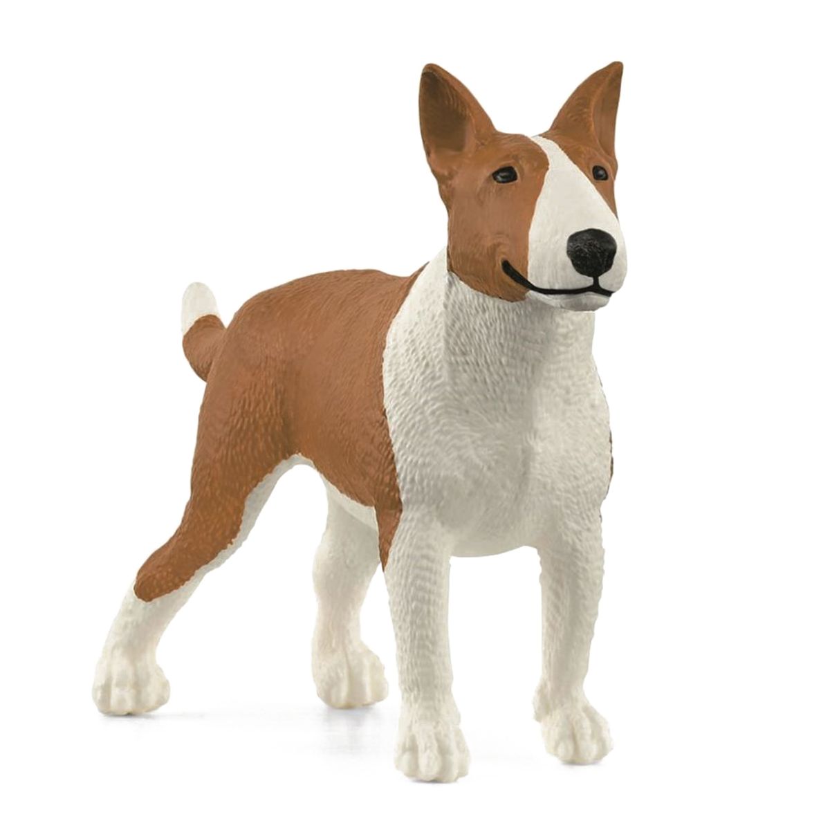 Bull Terrier (One size)