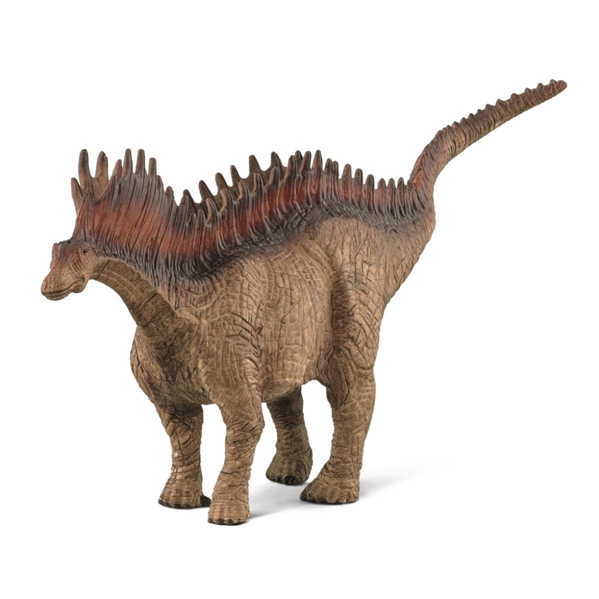 Amargasaurus (One size)