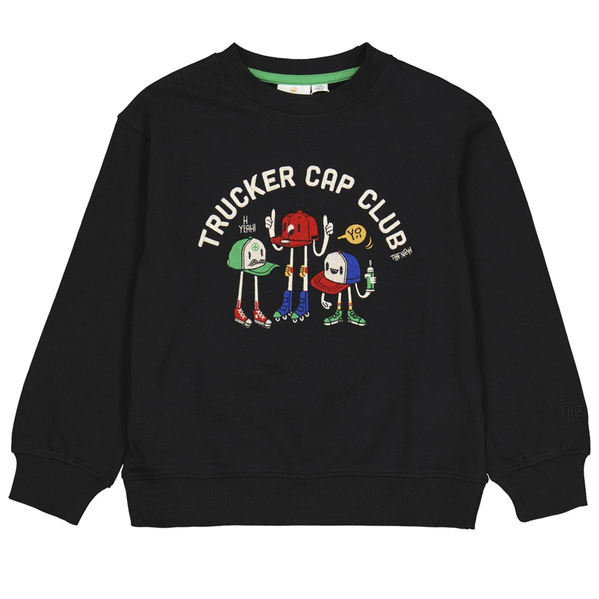 Organic TNJasper sweatshirt (5-6 år)