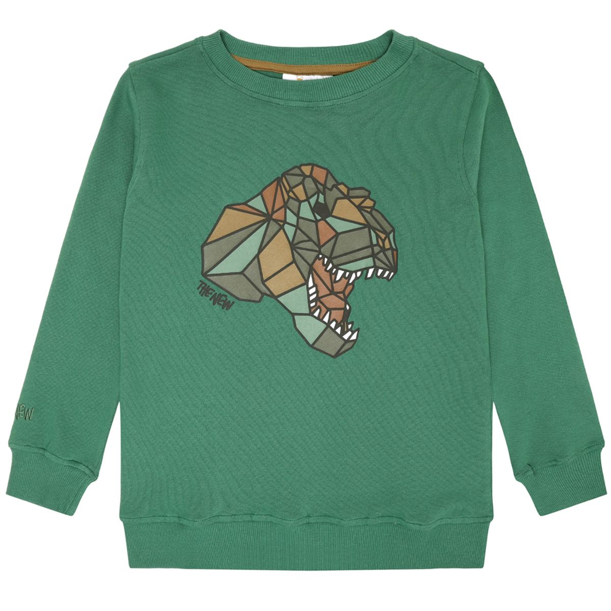 Organic TNLazaron sweatshirt (5-6 år)