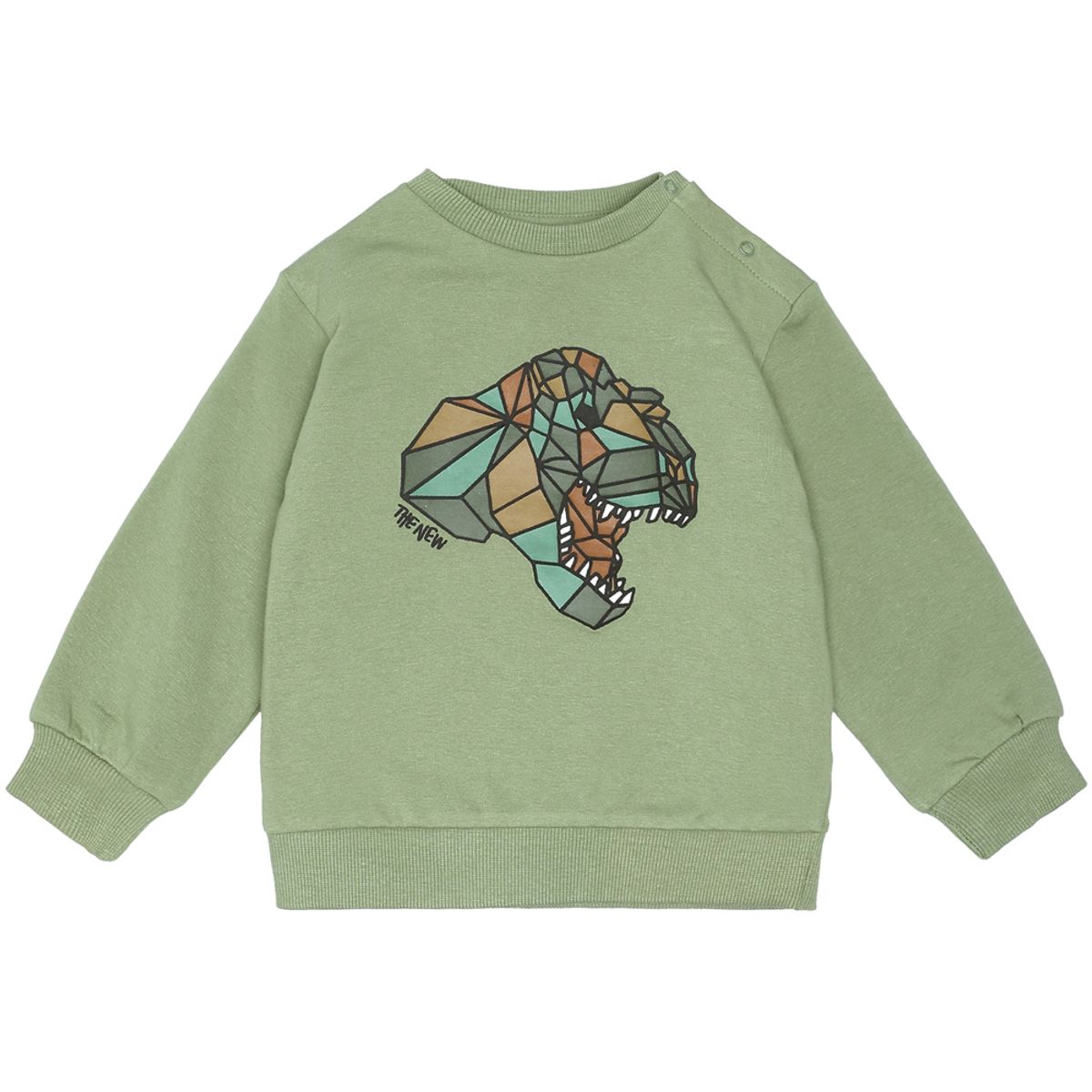 Organic TNSLuigi sweatshirt (4 år/104 cm)