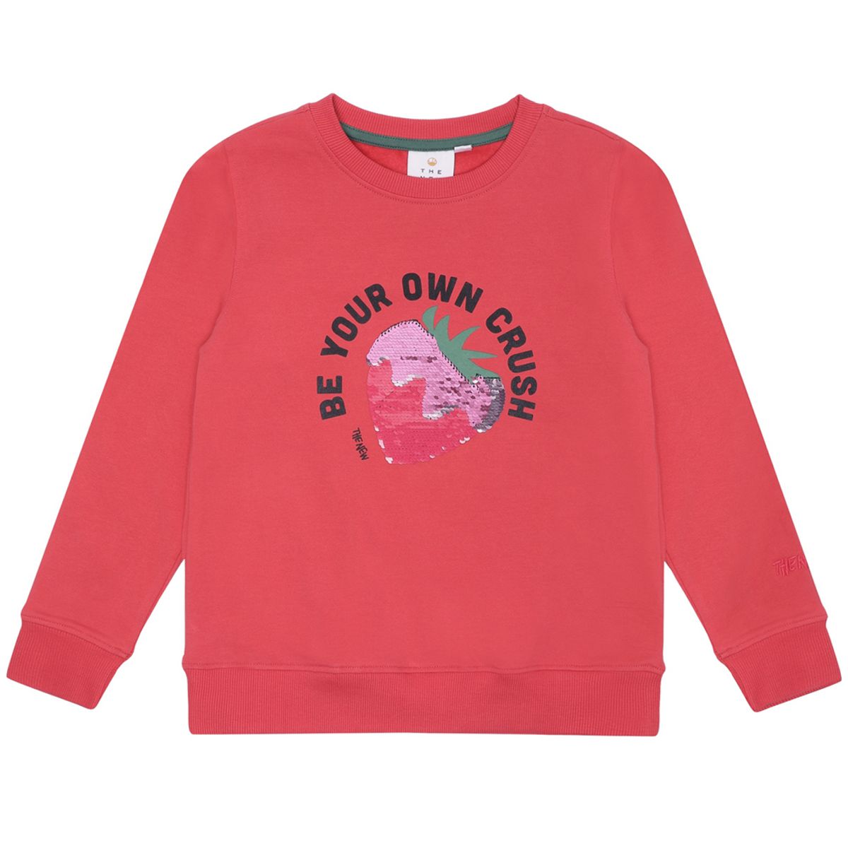 Organic TNLaline sweatshirt (5-6 år)