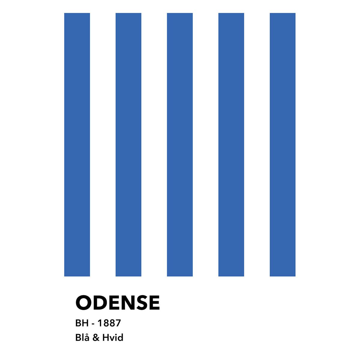 Odense - Bl? & Hvid af Ol? Ol?