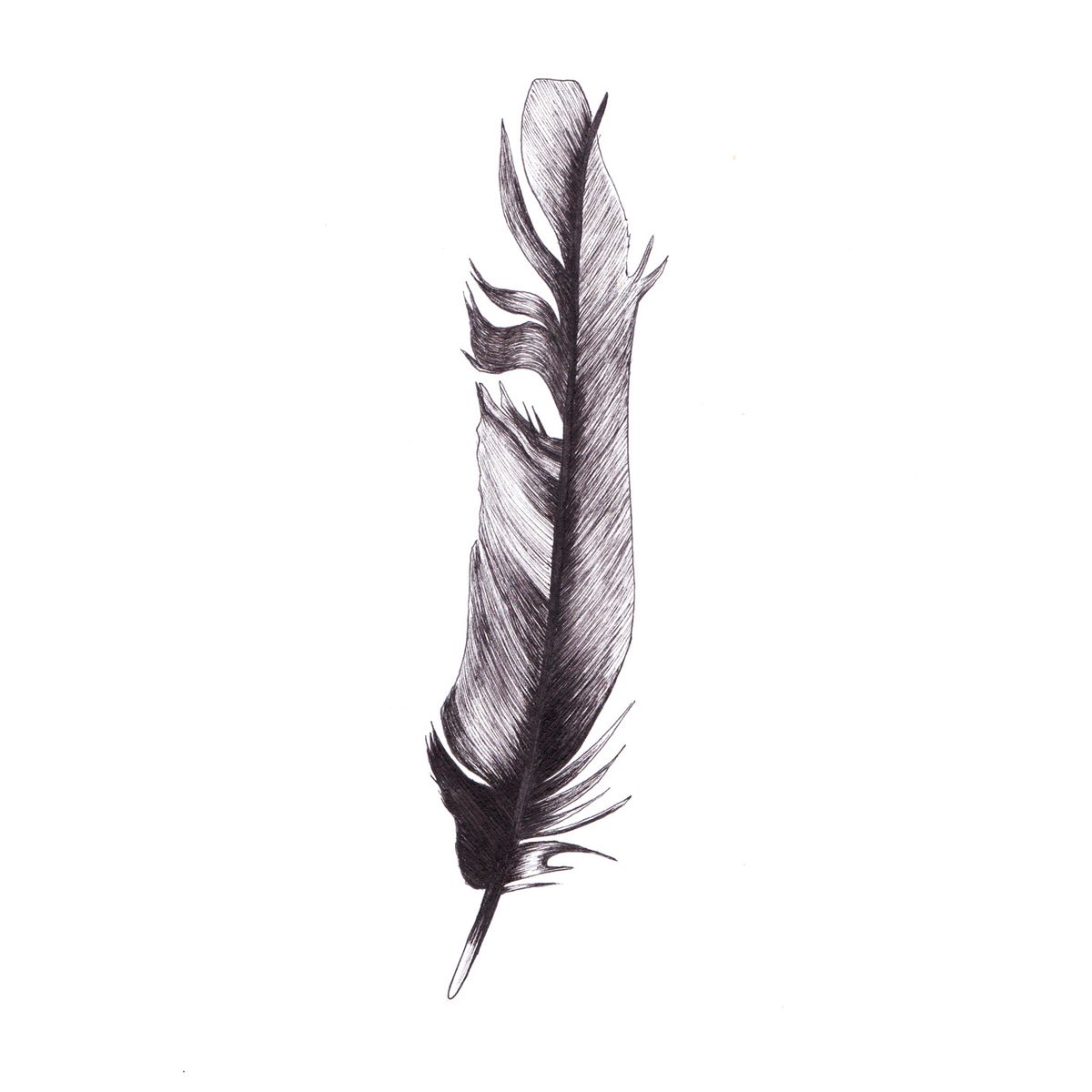 Feather af MyRo Graphics