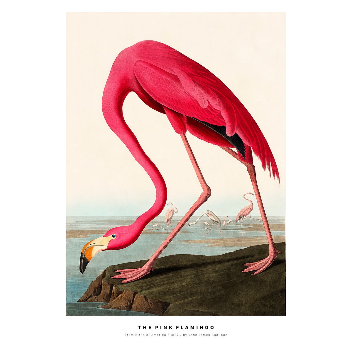 The Pink Flamingo af Plakatwerket