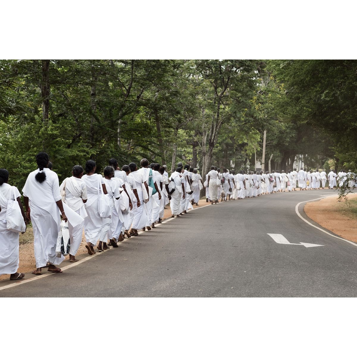 The walk Sri Lanka af Frames