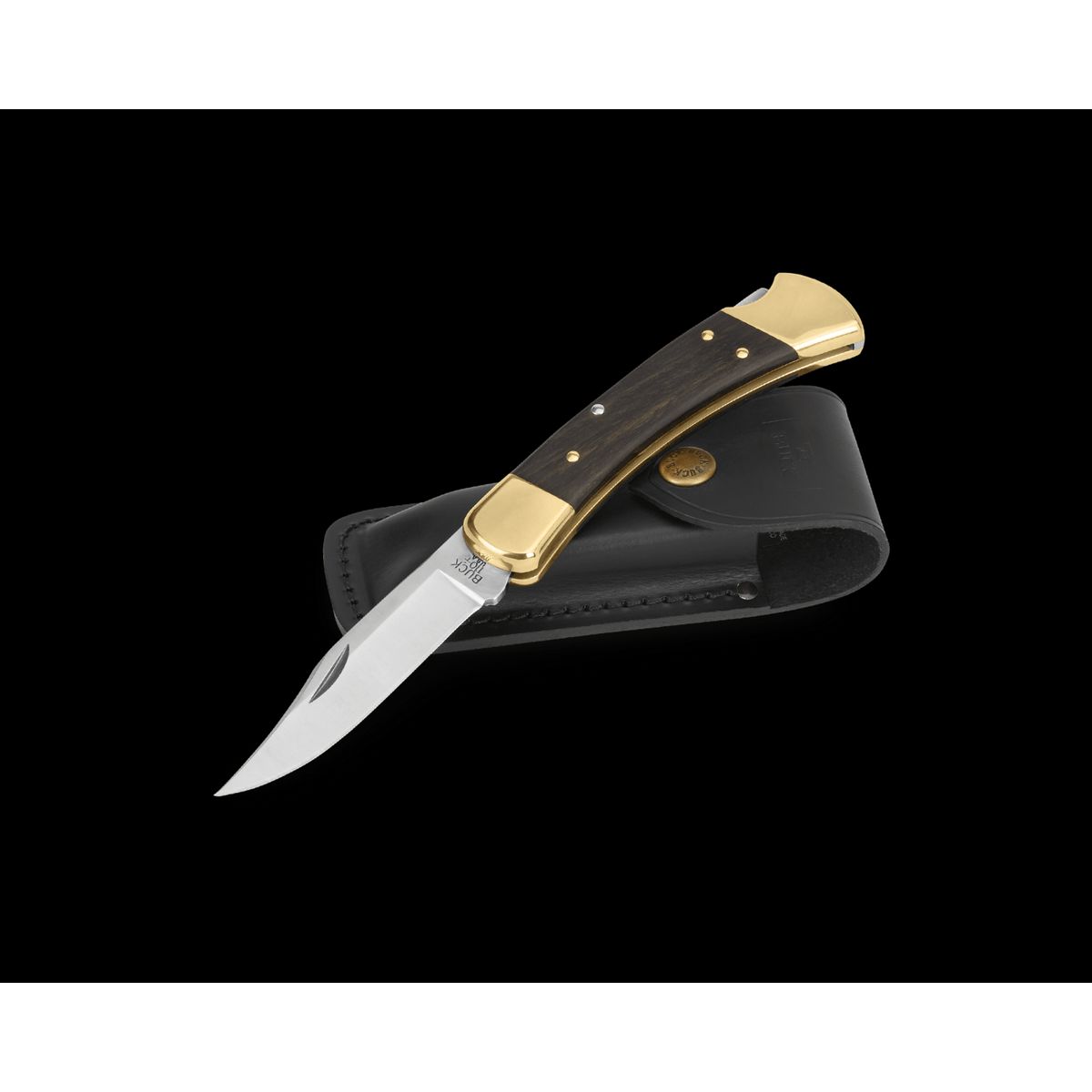 Buck 110 Folding Hunter®