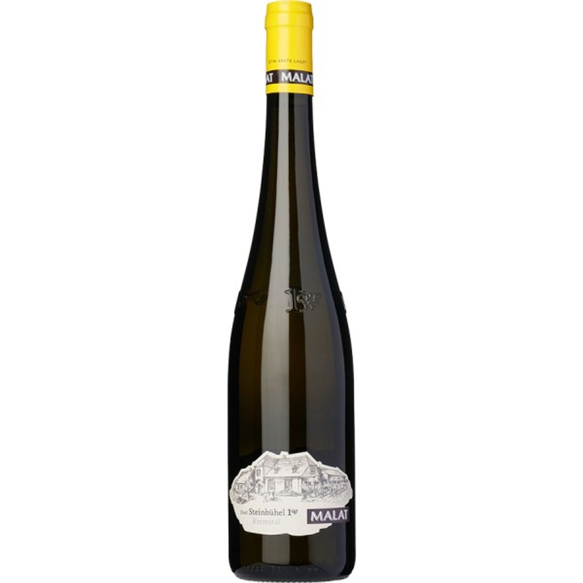 Riesling, Ried Steinbühel 1ötw 2021