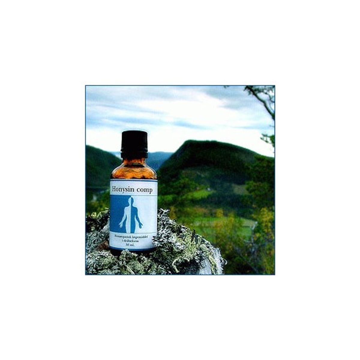 Honysin comp. - 50 ml - Holistica