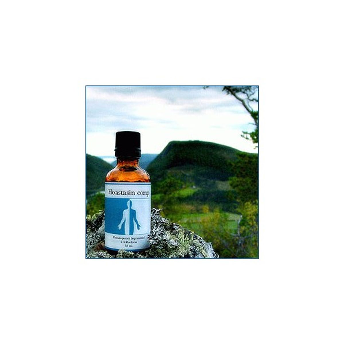 Hoastasin comp. - 50 ml - Holistica