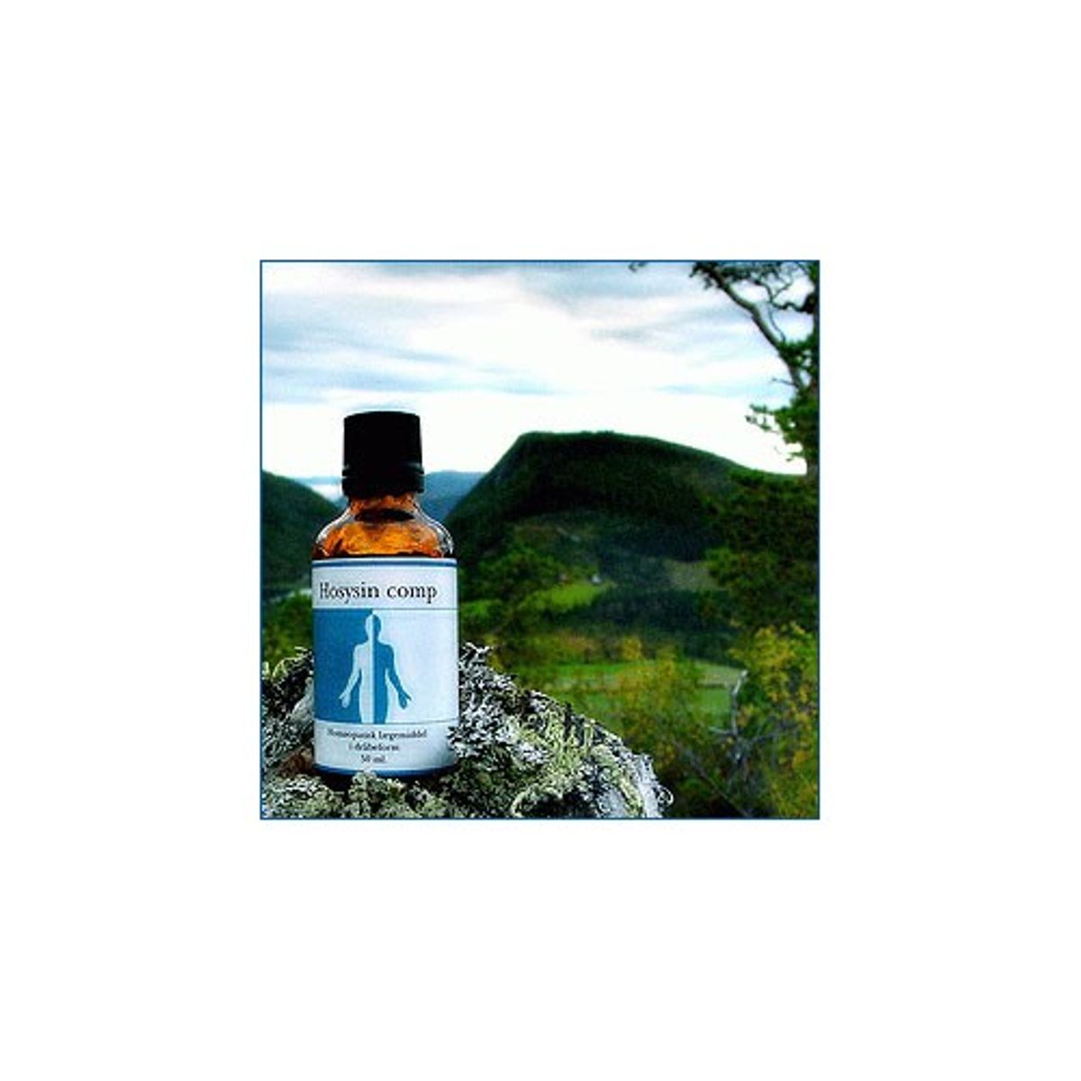 Hosysin comp. - 50 ml - Holistica