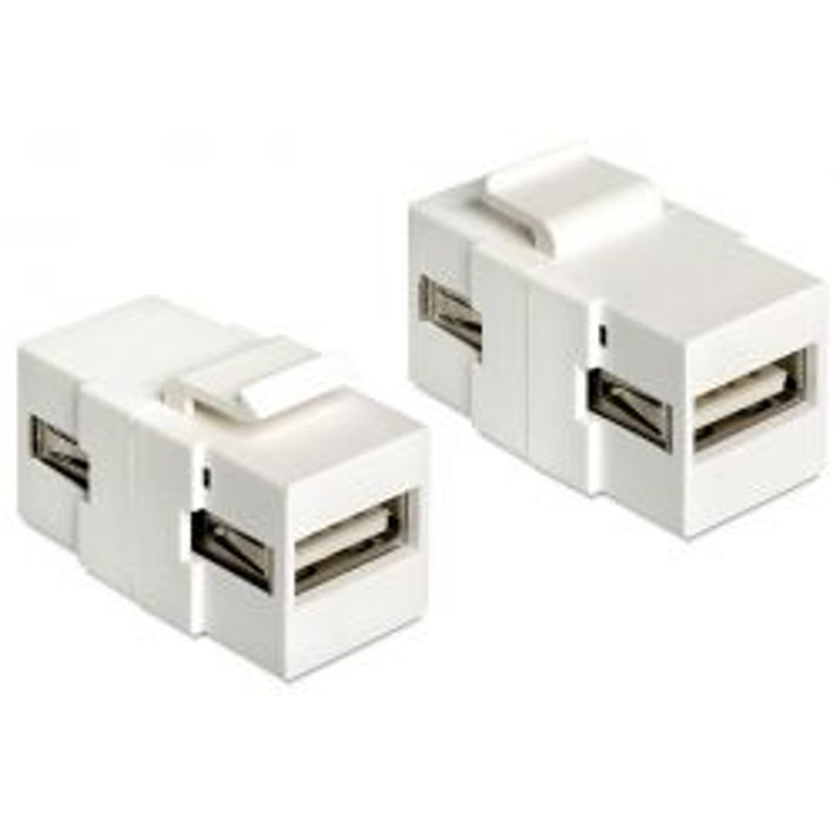 Delock Keystone Module Usb 2.0 A Female > Usb 2.0 A Female White