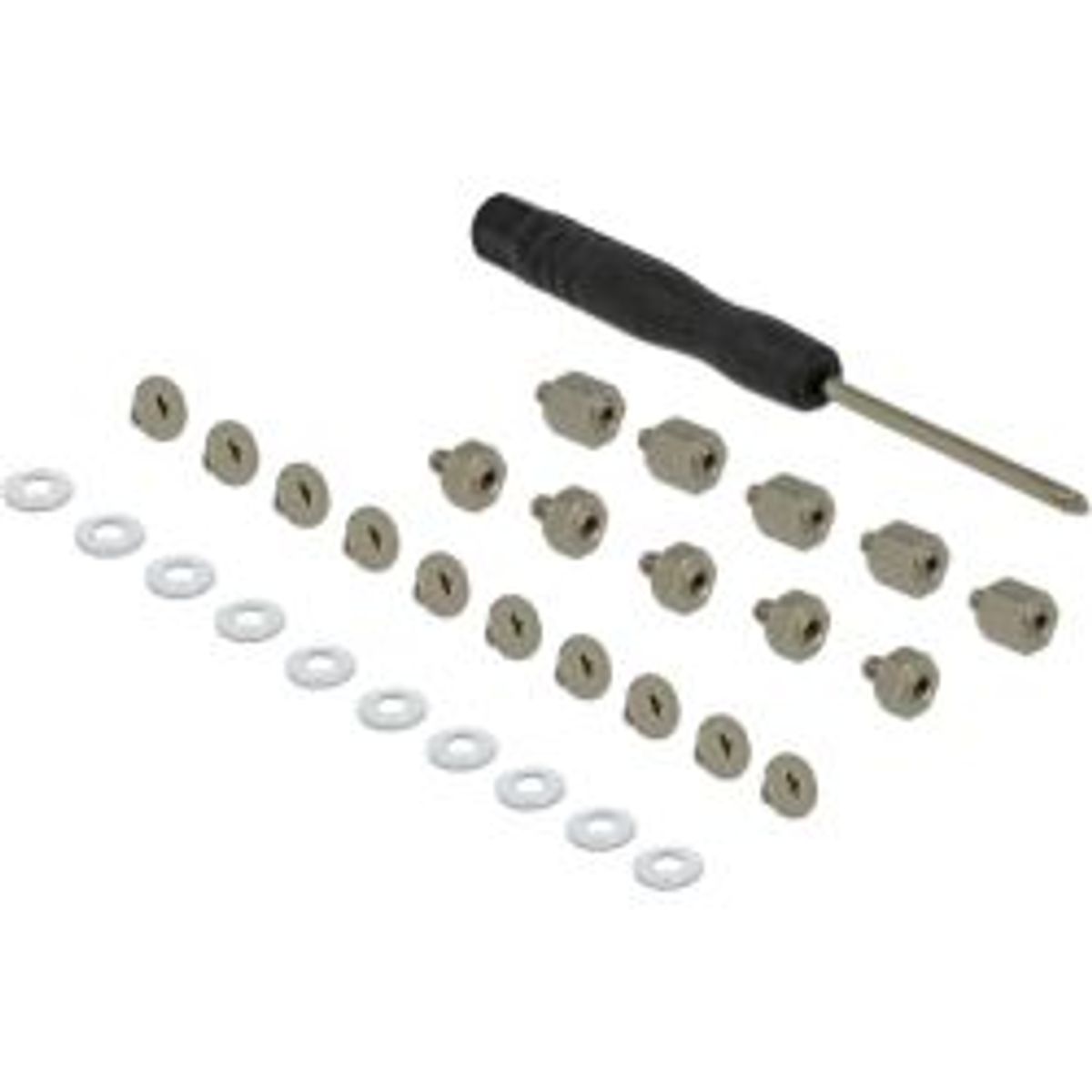 Delock Mounting Kit 31 pieces for M.2 SSD / Module - Værktøj